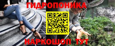 стаф Обь