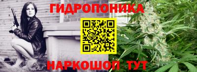стаф Обь
