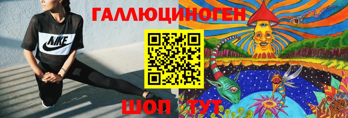 Псилоцибиновые грибы Psilocybine cubensis Томск