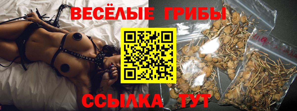 Псилоцибиновые грибы Psilocybine cubensis  Вход с VPN  Томск 